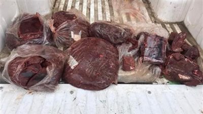 ضبط 3 أطنان كبدة فاسدة داخل ثلاجة بالقليوبية