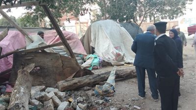 على أملاك الدولة.. إزالة حظيرة مواشي بحرم مدرسة حكومية في الشرقية (صور)