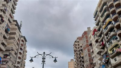 حالة الطقس اليوم.. غيوم وسحب منخفضة ونشاط للرياح في الإسكندرية (صور)
