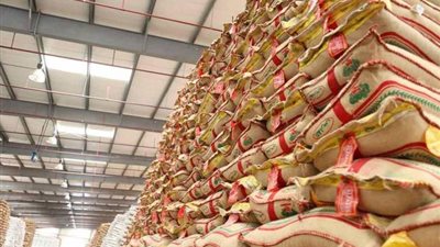 غرفة صناعة الحبوب تبدأ توريد الأرز لوزارة التموين بأسعار مخفضة