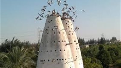 تحذير مهم من الوحدة المحلية بعزبة البرج بدمياط لأصحاب أبراج الحمام