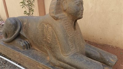 لجنة خماسية من الآثار لنقل تمثال شبيه الهول من مركز شرطة أبو صوير إلى متحف الإسماعيلية القومي 