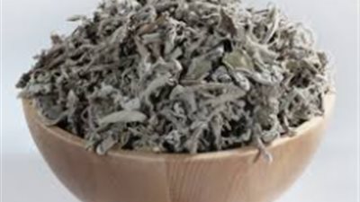 منها القضاء على رائحة الفم الكريهة.. تعرف على فوائد المرمرية للجسم