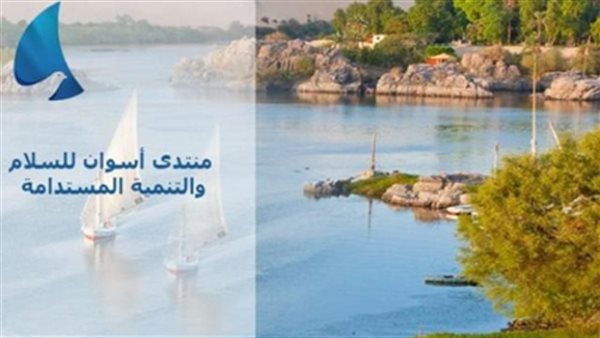 القاهرة 24