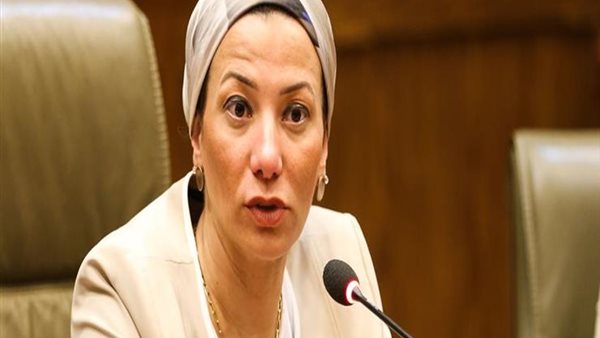 الدكتورة ياسمين فؤاد