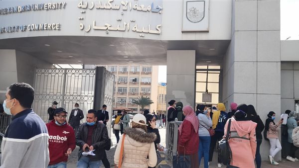 جامعة الإسكندرية