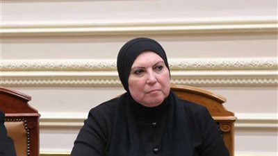 وزيرة الصناعة: مفاوضات مع وزارتي البترول والكهرباء بشأن تكلفة الطاقة للمصانع