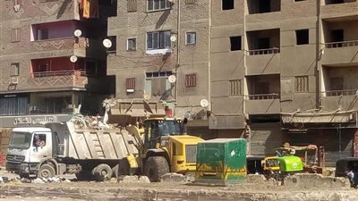 منعا لتفشي الأوبئة.. رفع 96 طن قمامة ومخلفات بشبرا الخيمة (صور) 