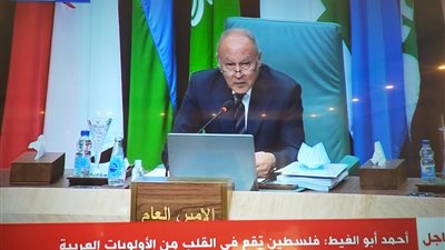 بالإجماع.. وزراء الخارجية العرب يوافقون على التجديد لأحمد أبو الغيط