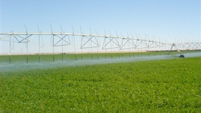 نعاني من الملوحة.. منتفعو مشروع الـ1.5 مليون فدان بالمغرة يطالبون بتوفير مياه عذبة للري 