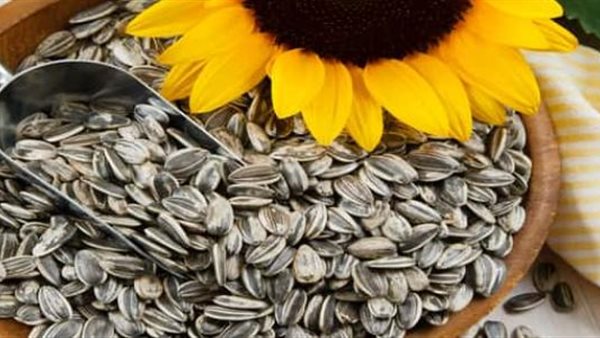 بذور عباد الشمس
