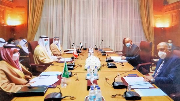 سامح شكري ووزراء