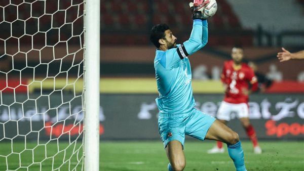 محمد الشناوي