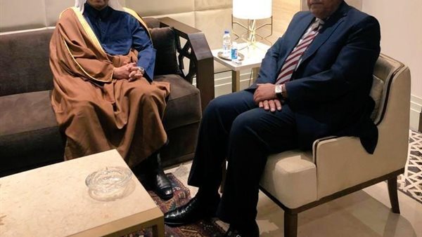 وزير الخارجية المصري