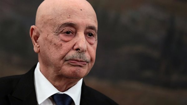 المستشار عقيلة صالح