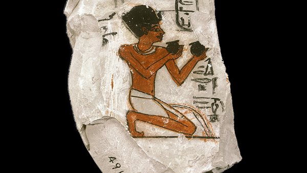 شقافة تصور الملكة