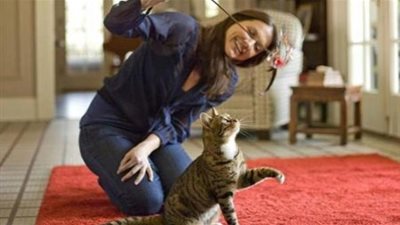 نصائح يجب اتباعها عند تربية القطط في المنزل