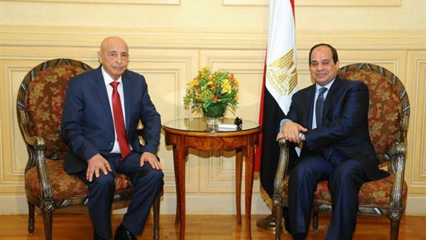 الرئيس السيسي وصالح