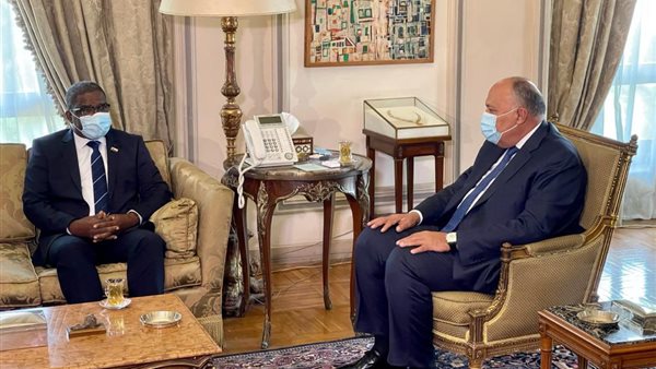 وزير الخارجية ونظيره