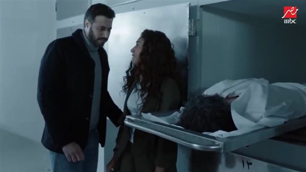 دينا الشربيني وأحمد