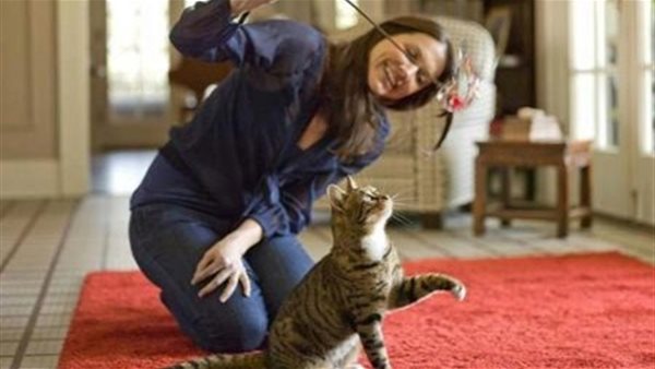 نصائح يجب اتباعها