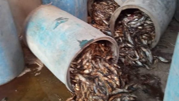 ضبط أسمالك مملحة