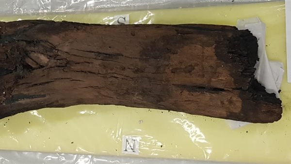 قطعة من مركب خوفو-أرشيفية