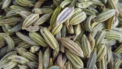 5 آثار جانبية تنتج عن الإفراط في تناول الشمر