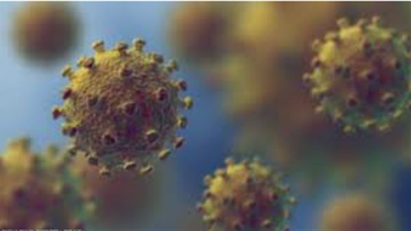 فيروس كورونا