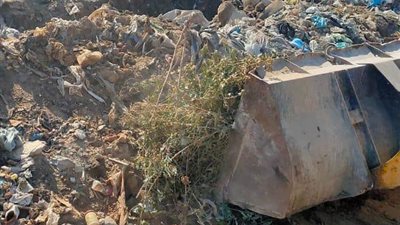 رئيس غرب الإسكندرية: رفع 260 طن قمامة من مساكن مصيلحي (صور)