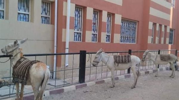 من أمام مدرسة العيايشا