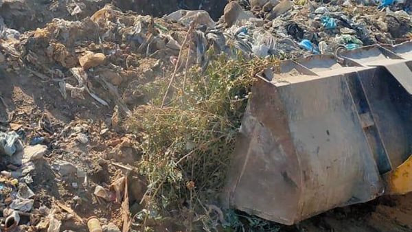 رفع 260 طن قمامة