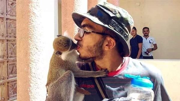 الرحالة والقرد