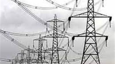 الحكم في دعوى عدم دستورية قانون إلغاء هيئة كهرباء الريف 3 إبريل