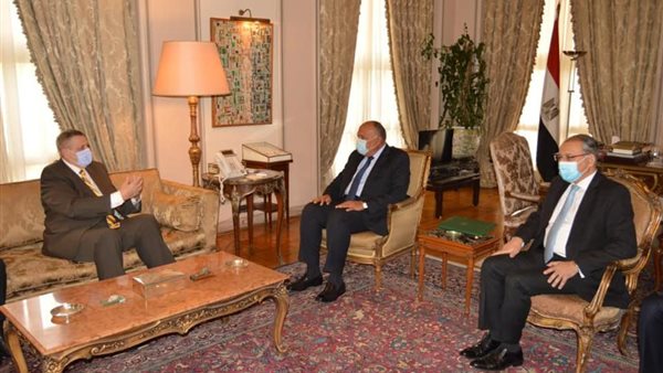 لقاء وزير الخارجية