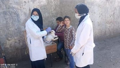 جامعة سوهاج تنظم قافلة بيطرية بقرية أولاد إسماعيل (صور)