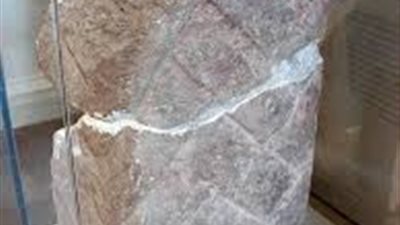 مؤرخ يطالب باستعادة ذقن أبو الهول من المتحف البريطاني