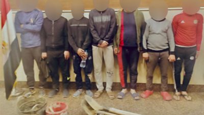 وهم الكنز والثراء السريع.. ضبط 7 شباب أثناء التنقيب عن الآثار بالقاهرة