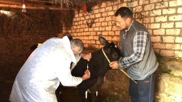 الحملة القومية للتحصين