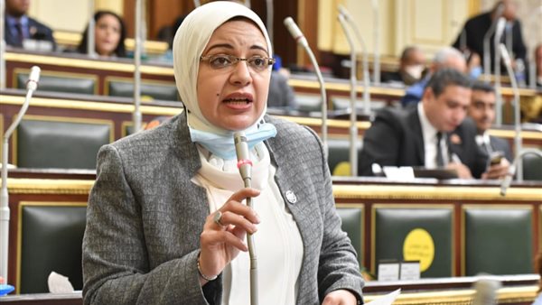 النائبة ريهام عبد