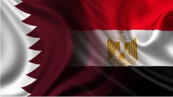 العلاقات المصرية