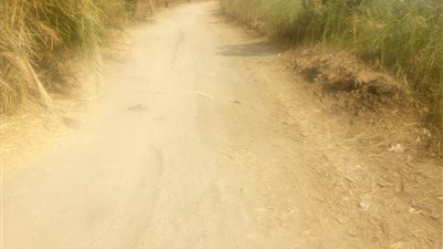 محافظ أسيوط: انتهاء أعمال رصف طريق 