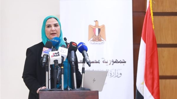 نيفين القباج، وزيرة