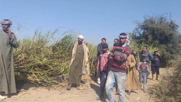 حرائق القصب