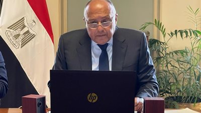 شكري يشارك في قمة مجلس السلم والأمن الإفريقي (صور)