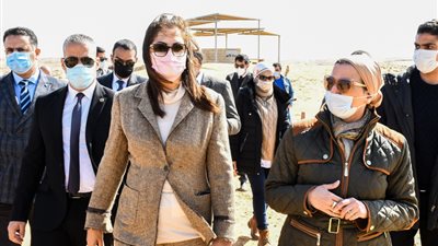 البيئة تبحث إنشاء متحف مفتوح لتاريخ الحفريات بمحمية الغابة المتحجرة