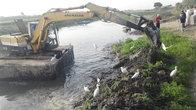 بعد شكاوى المزارعين.. رئيس مدينة القناطر الخيرية: تطهير المجرى المائي لوصول المياه لأراضيهم  (صور)