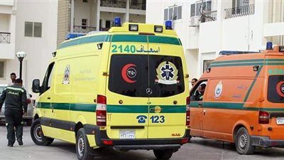 اشتباه كسر بالجمجمة ونزيف بالمخ.. ننشر التقرير الطبي لمدير حميات أشمون بعد التعدي عليه (مستند) 