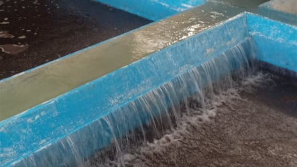 تطهير وغسيل المرشحات