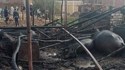 نفوق وإصابة 9 رؤوس ماشية في حريق بالمنوفية 